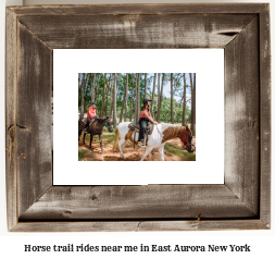 horse trail rides near me in East Aurora, New York